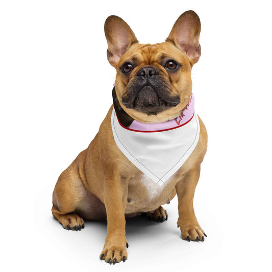 Hundebandana kaufen - Stylische Bandana für Hunde - MAX F. ArtGrafic