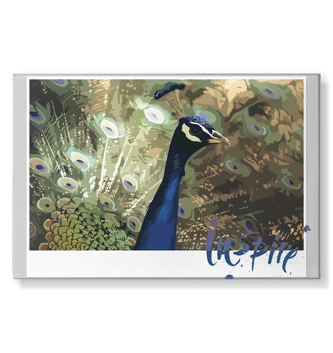 Pfau Leinwand 75x50cm für moderne Wanddekoration - MAX F. ArtGrafic