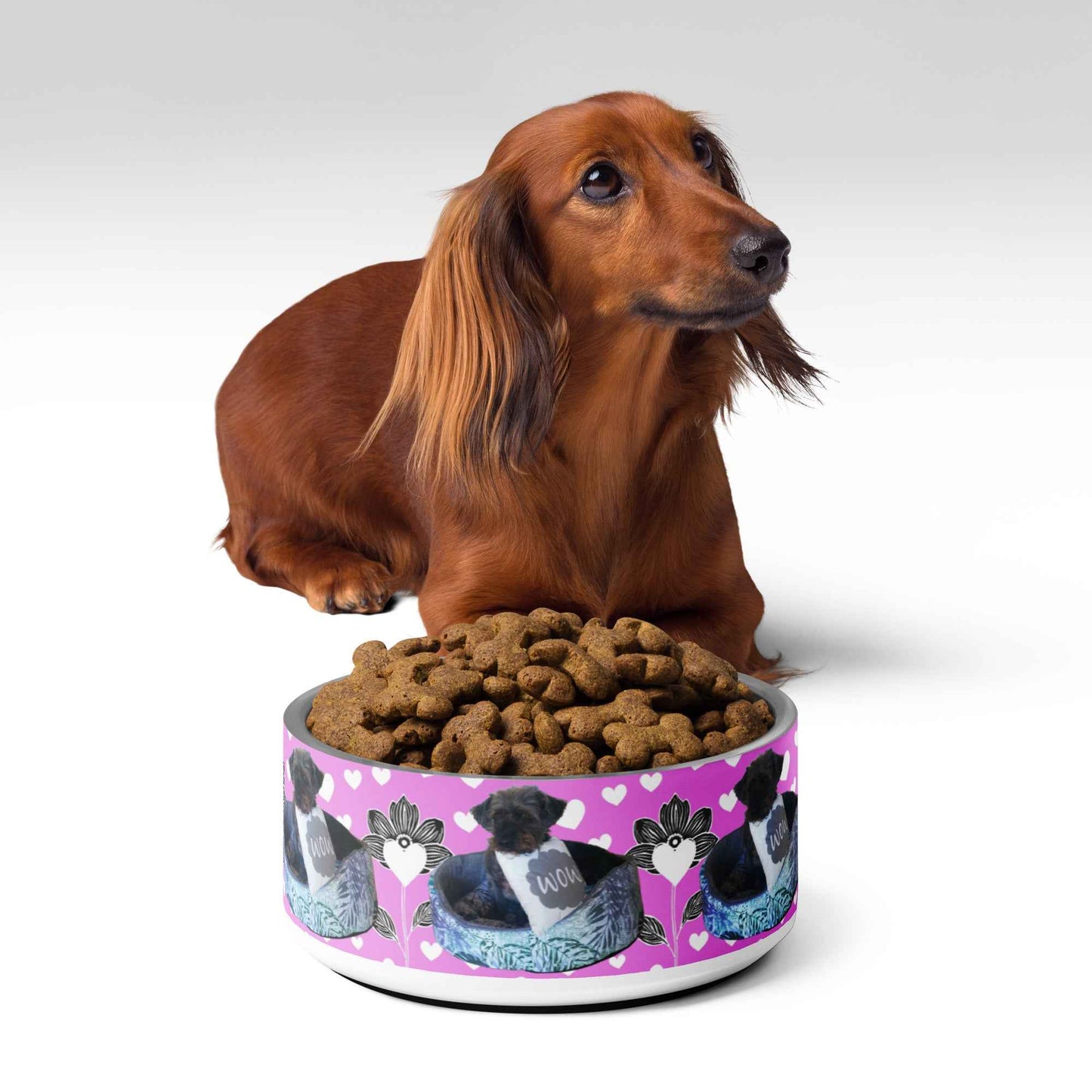 Futternapf MAXI - Der ideale Futternapf für Hunde - MAX F. ArtGrafic