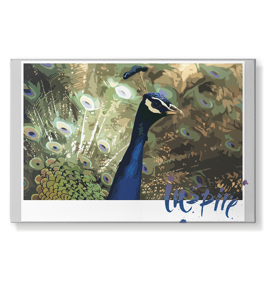 Pfau Leinwand 75x50cm für moderne Wanddekoration - MAX F. ArtGrafic
