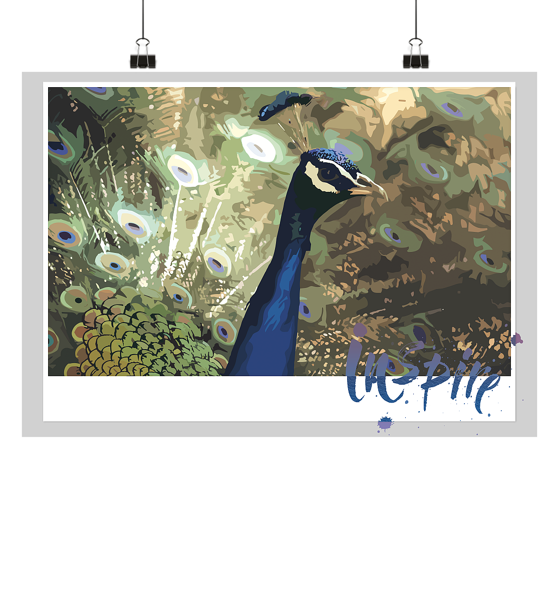 Pfau mit Rahmen - Poster Din A1 (quer)