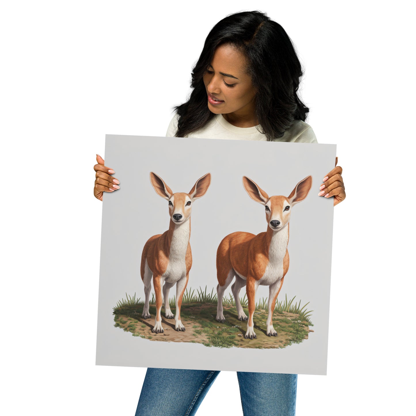 Fotopapier Poster - Indian Muntjac - MAX F. ArtGrafic